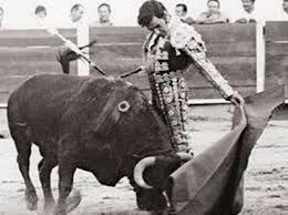 Sin Nombre